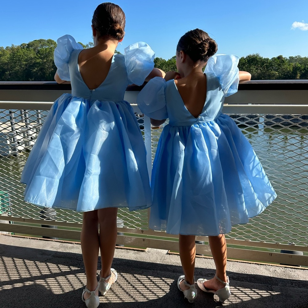 Beautiful princess puffy dress